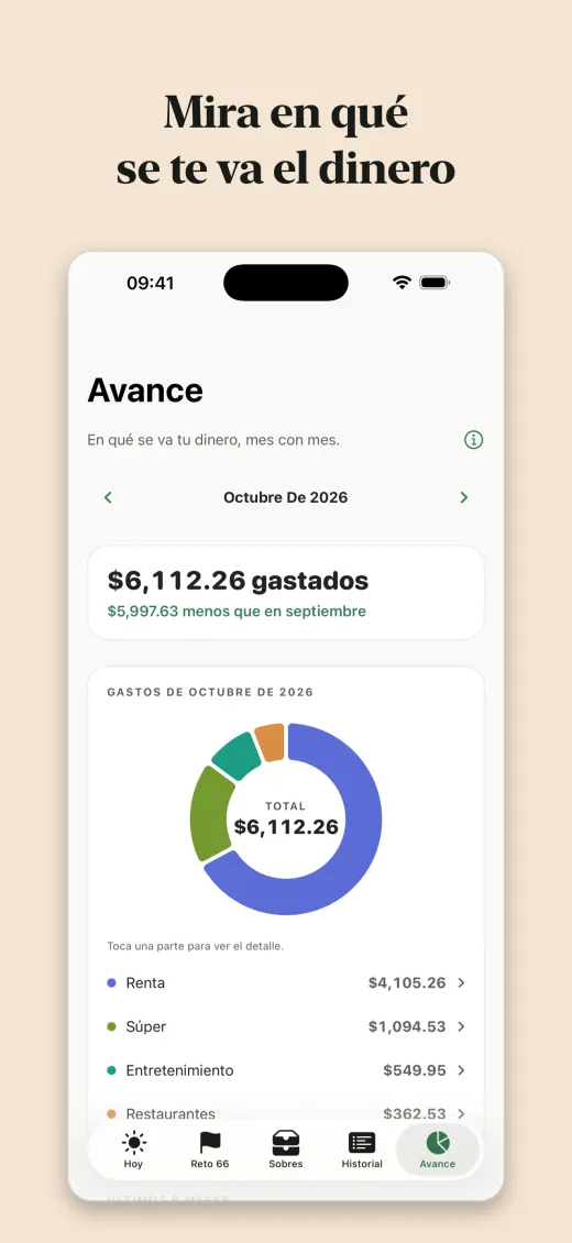 Mira en qué se te va el dinero