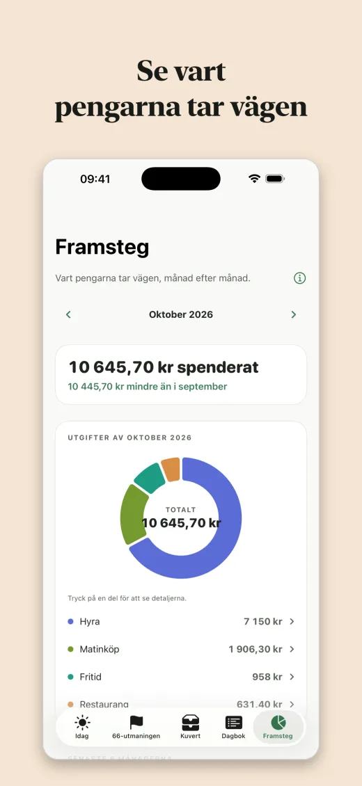 Se vart pengarna tar vägen